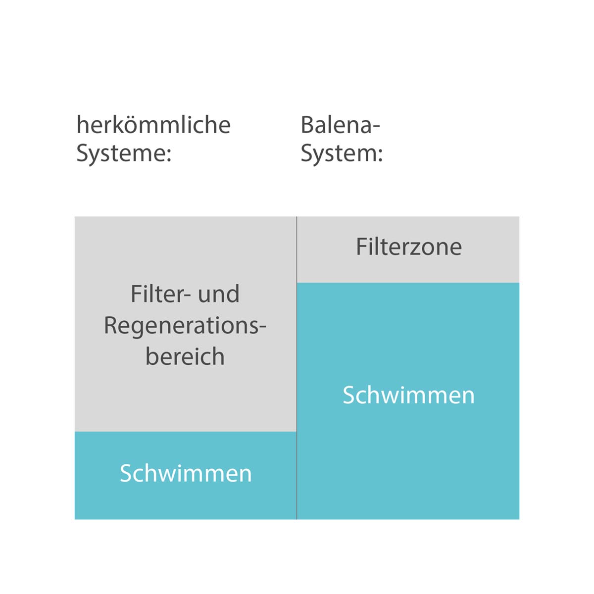 Filterzone von TeichMeister